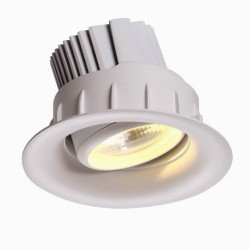 Downlight Chease & Bread orientable 42W Super warmwhite ø195 mm / enc 180mm